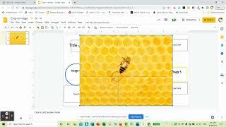 How to crop an image to a shape in Google Slides