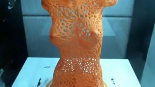 3D Printed Female Torso