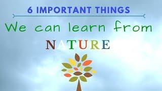 6 IMPORTANT Things That We Can Learn From NATURE