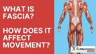 What is Fascia? How Does It Affect Movement?