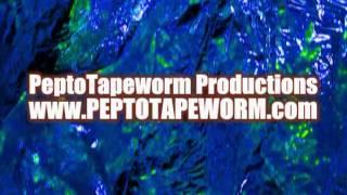 PeptoTapeworm Productions Promotional Video for YouTube