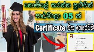 Free Online Courses with Certificate in Sri Lanka | නොමිලේ කරන්න පුළුවන් පාඨමාලා | Free Courses