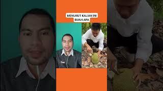 PANEN BUAH DI KEBUN ‼️#shorts #viral