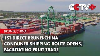 1st Direct Brunei-China Container Shipping Route Opens, Facilitating Fruit Trade