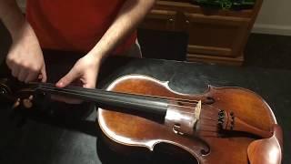 Inspection and Self-Maintenance of the Viola