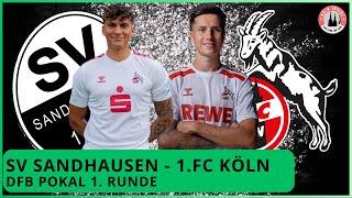 SV Sandhausen - 1. FC Köln 2:3 n.V | DFB Pokal 1. Runde