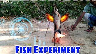 Experiment Burning Fish