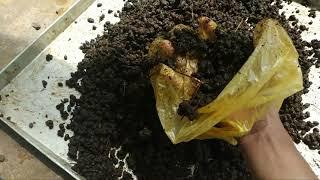 how to make fertilizer from goat manure