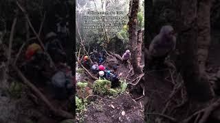 pendakian mistis horor#gunung indonesia#short#