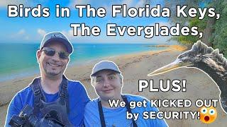 Birds in The Florida Keys and The Everglades Plus We Get Kicked Out by SECURITY
