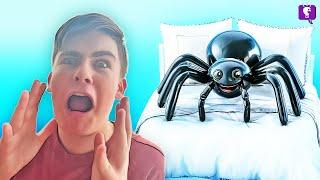 GIANT SPIDER EGG + Let's Play Gaming "Kill it with Fire 2" by HobbyFamilyTV