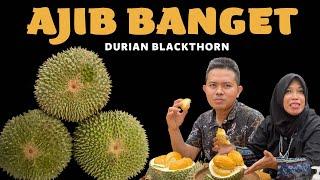 ENAK BENER ⁉️ DURIAN DURI HITAM #durian #duriandurihitam #masduren