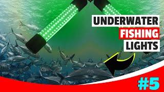 The 5 Best Underwater Fishing Lights For 2023 | Underwater Led Fishing Light