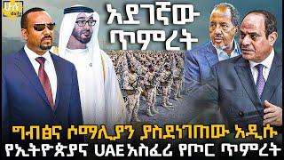 ግብፅና ሶማሊያን ያስደነገጠው አዲሱ የኢትዮጵያና UAE አስፈሪ የጦር ጥምረት @HuluDaily - ሁሉ ዴይሊ