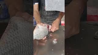 Tilapia Fish Machine Cutting Skills l Amazing Tilapia Fish Cutting In Bangladesh Fish Market