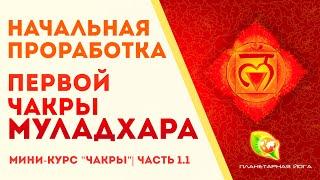 Первая чакра Муладхара: начальная активация. Упражнение. Корневая чакра. Мини-курс "Чакры"