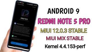 Redmi Note 5 Pro | Android 9 Stable | Update miui 12.0.3 stable Miui 12.5 | Features & Review 