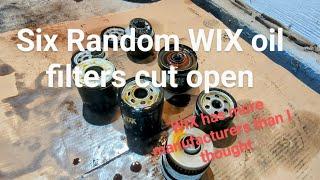 Six Random WIX oil filters cut open