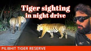 Night Drive in Pilibhit Tiger Reserve | Huge Tiger Sighting | Junglee Hactor