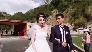 The 1st Wedding at Yerevan Zoo