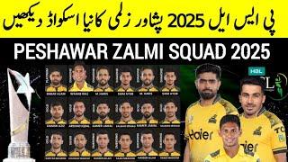 Peshawar Zalmi Squad PSL 2025 | PSL 10 LQ Full Squad | PZ Squad Psl 10 | پشاور زلمی اسکواڈ