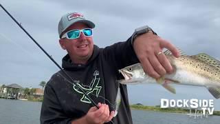 DockSIde TV  "Matrix Minnow Mayhem"