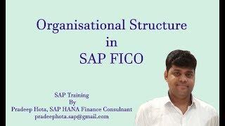 SAP FI Organisation Structure | Enterprise Structure in SAP FI