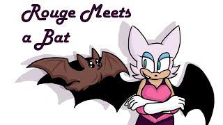 Rouge Meets a Bat