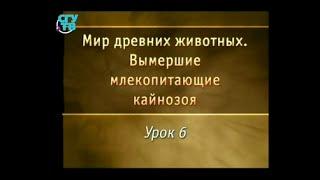 Урок 6. Древние кошачьи и примитивные копытные