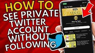 How To See Private Twitter Account Without Following (Easy Guide)