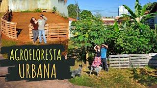 AGROFLORESTA URBANA - como fizemos a nossa!