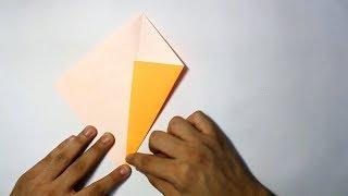 How To Rabbit Ear Fold Demonstration | The Paper Guy