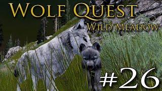 The Hidden NEWBORNS of Spring?!  WOLF QUEST: WILD MEADOW • #26