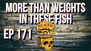 E171 More Than Weights in These Fish