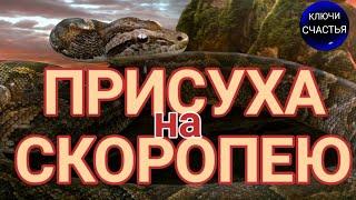 Любовная  присуха через острую тоску, магия  просто  посмотри,  секреты счастья