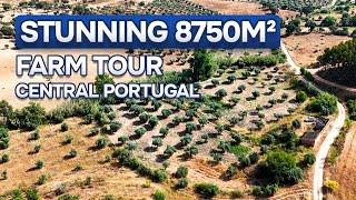  Stunning 8750 m2 farm for sale | Central Portugal | €30.000