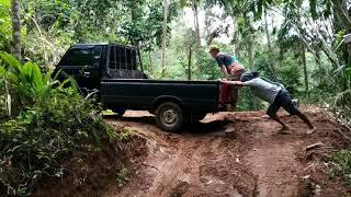 BARU BISA MASUK HUTAN SETELAH BEBERAPA HARI HUJAN || MUAT SENGON