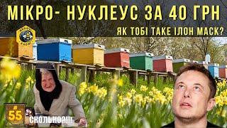 Бюджетний мікро-нуклеус за 40 грн.