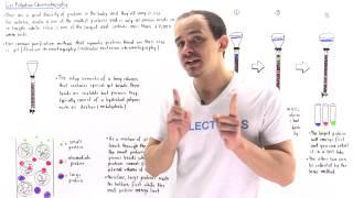 Gel Filtration Chromatography