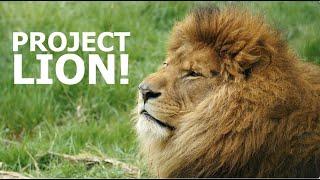 Project Lion - The Big Cat Sanctuary