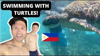 PHILIPPINES DAY 14: PANAGSAMA BEACH, MOALBOAL CEBU, SWIMMING WITH TURTLES!!!