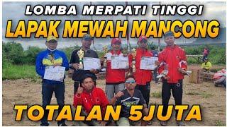 Lomba Merpati Tinggi Lapak Mewah Mancong Mandiri 2024