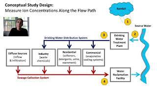 Introduction to the Ion Flux Study