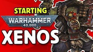 Starting 40k XENOS