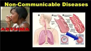 Non-communicable Diseases
