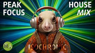 Peak Focus Beta Wave Isochronic Tones - Progressive House Armadillo Mix