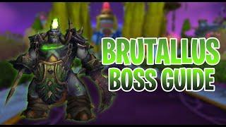 BRUTALLUS BOSS GUIDE - SUNWELL PLATEAU