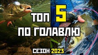 Мой ТОП 5 приманок на голавля, сезон 2023