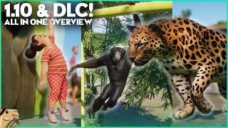 ALL-IN-ONE Overview: Conservation DLC & 1.10 Update! Siamang, Leopard & Co