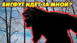 Я охочусь на Бигфута или он на меня? [Finding The Bigfoot]